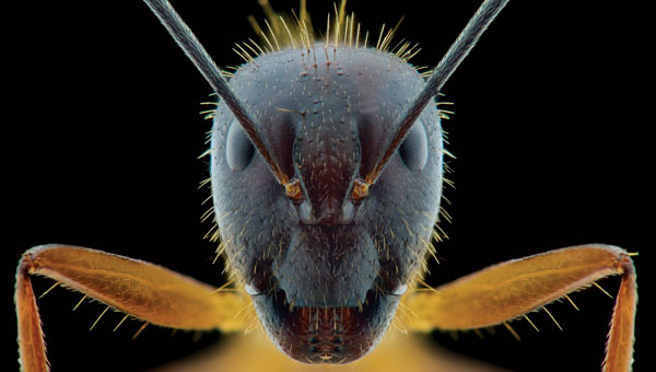 PHOTO: Getty Images: Dwi Yulianto