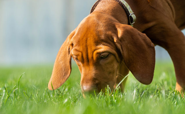 Photo: Bang/iStock / Getty Images Plus/Getty Images