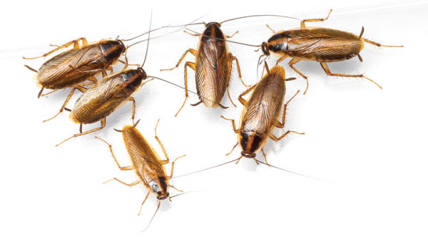 PHOTO: iStock.com/smuay