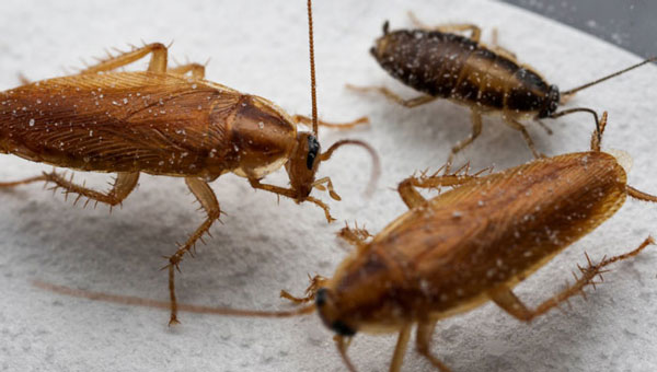 PHOTO: DONG-HWAN CHOE