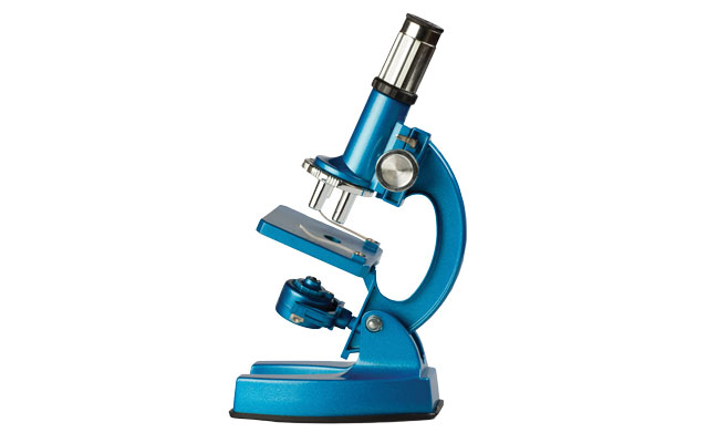 Photo: neskez/iStock / Getty Images Plus/Getty Images