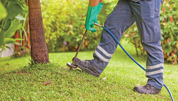 Photo: Business/iStock / Getty Images Plus/Getty Images