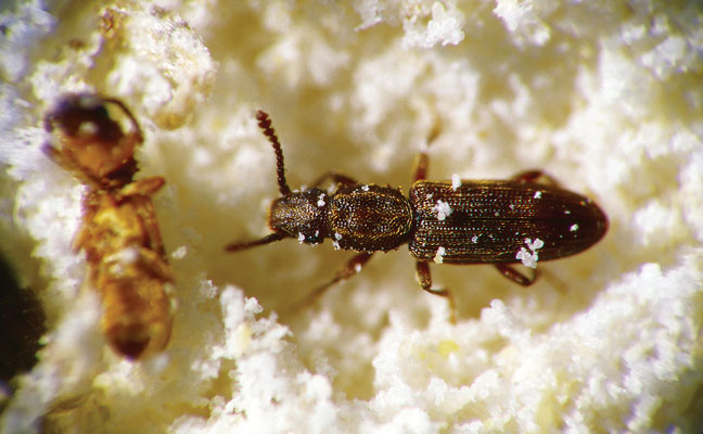 PHOTO: © Gene White