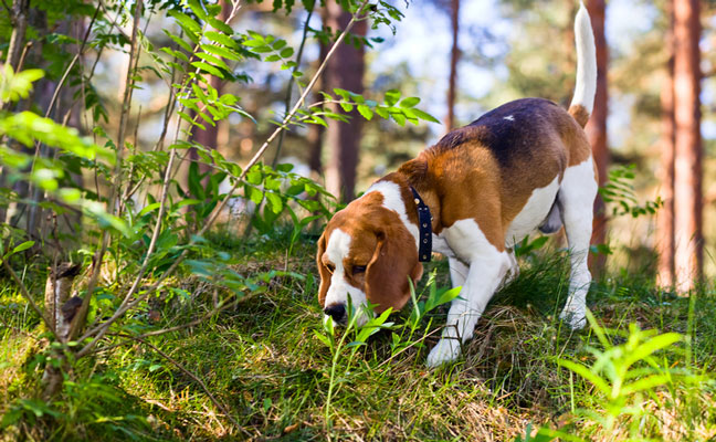 Photo: igorr1/iStock / Getty Images Plus/Getty Images