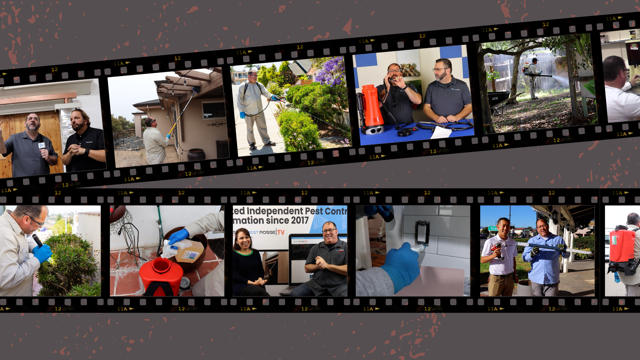 IMAGE: THE PEST POSSE