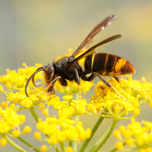 Photo: AlbertoNovo/getty images/iStock/getty images plus