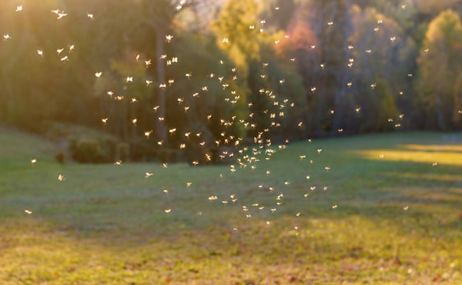 Photo: Tunatura /iStock / Getty Images Plus/ Getty Images