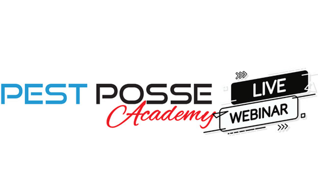 IMAGE: THE PEST POSSE