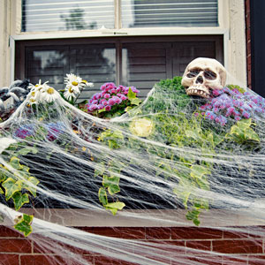 Photo: EvgeniiAnd/iStock / Getty Images Plus/Getty Images