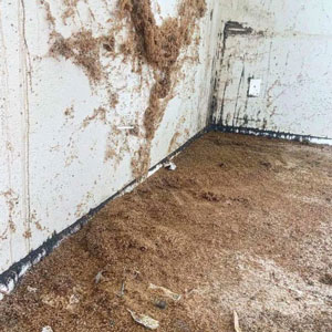 PHOTO: BURNS PEST ELIMINATION
