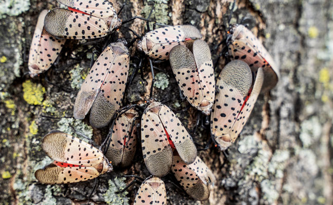 Photo: arlutz73/iStock / Getty Images Plus/Getty Images