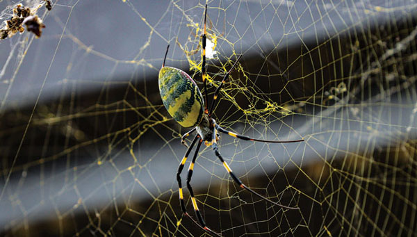PHOTO: Steve Haddock / iStock / Getty Images Plus / Getty ImageS