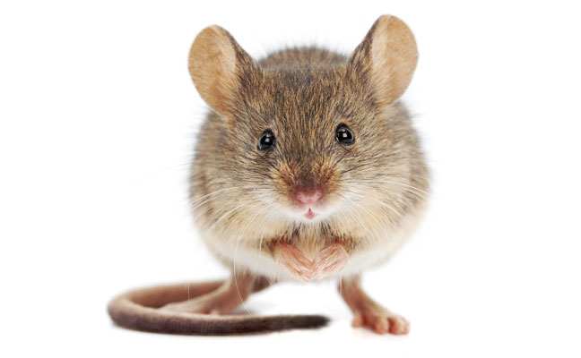 PHOTO: icefront / iStock / Getty Images Plus / Getty Images