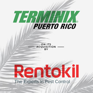 IMAGE: RENTOKIL TERMINIX