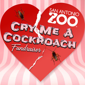 IMAGE: SAN ANTONIO ZOO