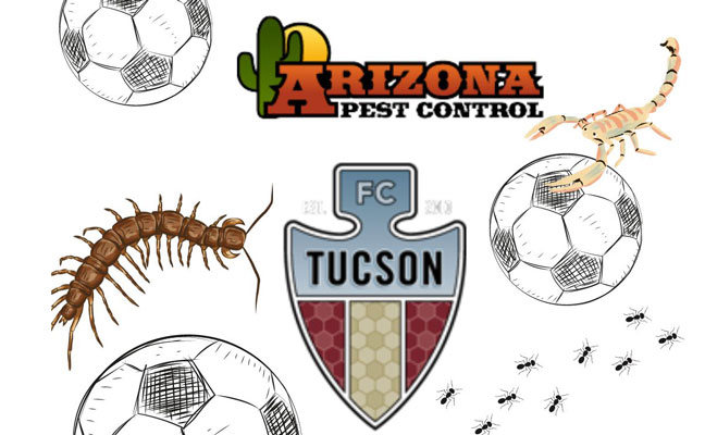 IMAGE: ARIZONA PEST CONTROL