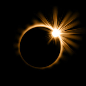 Photo: Avector/iStock / Getty Images Plus