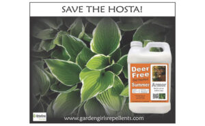 IMAGE: GARDEN GIRLS REPELLENTS