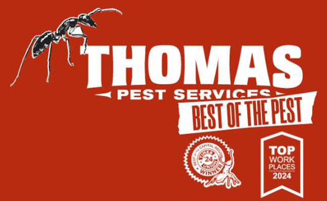 IMAGE: THOMAS PEST SERVICES