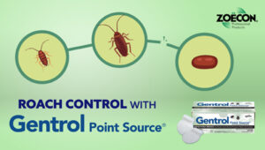 Image: Central Life Sciences