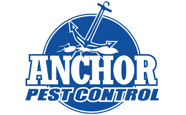 IMAGE: ANCHOR PEST CONTROL