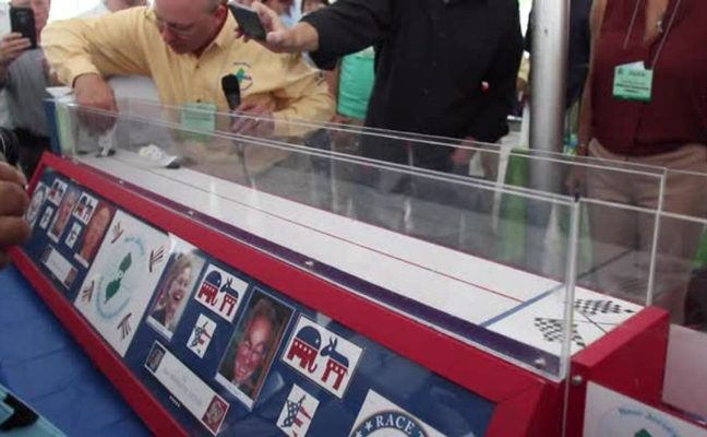 This year's presidential cockroach race will see a battle between two Madagascar Hissing Cockroaches. (Photo courtesy of NJPMA)