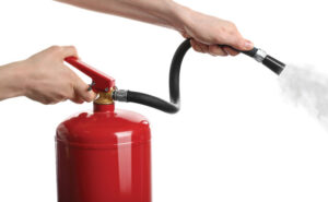 Getty Images: Liudmila Chernetska / iStock / Getty Images Plus