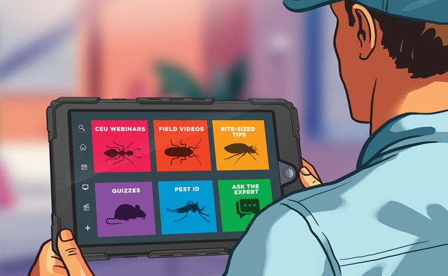 Illustration by Rob Dobi