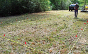 Fig. 1. Early plot layout in the field at the Harrison experimental forest (HEF). Once a rectangle with 90-degree angles is in place, individual plots can be assigned. (PHOTO: US DEPARTMENT OF AGRICULTURE FOREST SERVICE)