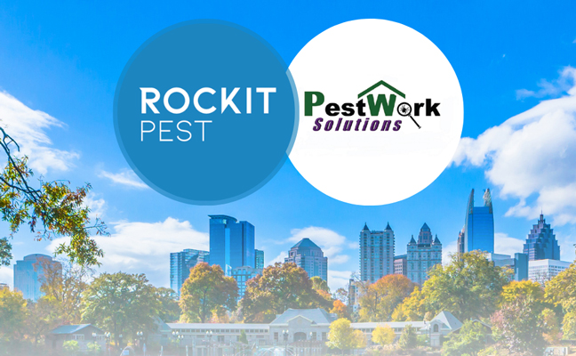 GRAPHIC: ROCKIT PEST