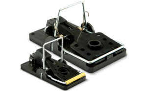 IMAGE: KNESS PEST DEFENSE