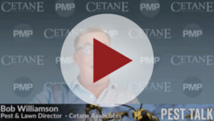 Screencap: PMP Staff