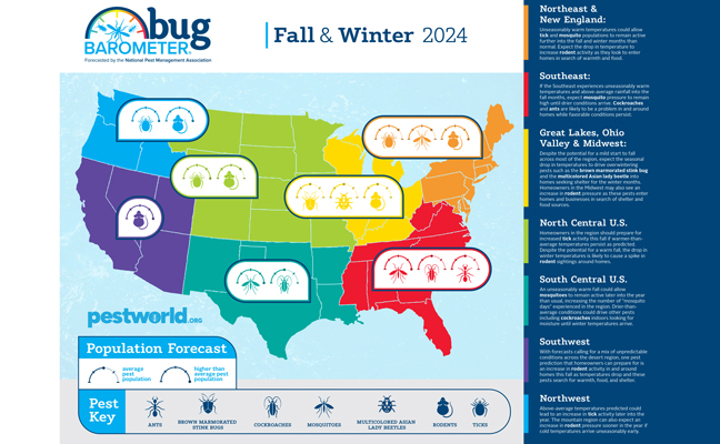 Graphic: Business Wire