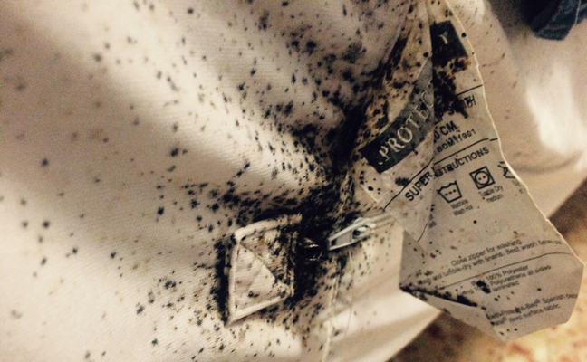 Bed bugs often leave clues on bedding that they are present. (Photo: Matteo Lanciano / iStock / Getty Images Plus / Getty Images)