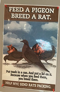 An example of New York City's marketing for rodent prevention. IMAGE: PMP STAFF