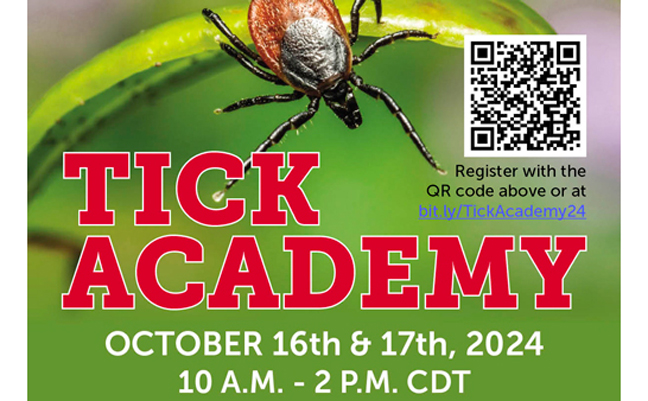 GRAPHIC: TICK ACADEMY
