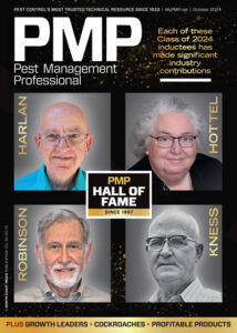 Illustration: Olesia Bekh / iStock / Getty Images Plus / Getty Images