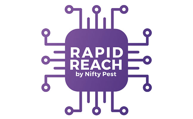 IMAGE: NIFTY PEST