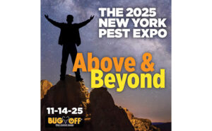 Silhouette of a person atop a high canyon, with info about the NY Expo included