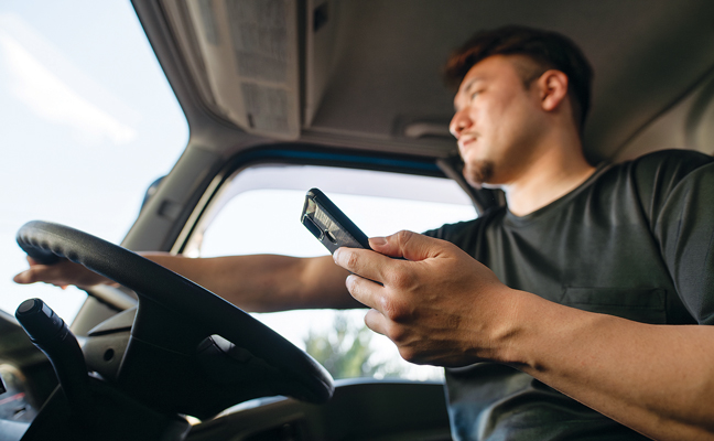 Photo: Hakase_ / iStock / Getty Images Plus / Getty Images