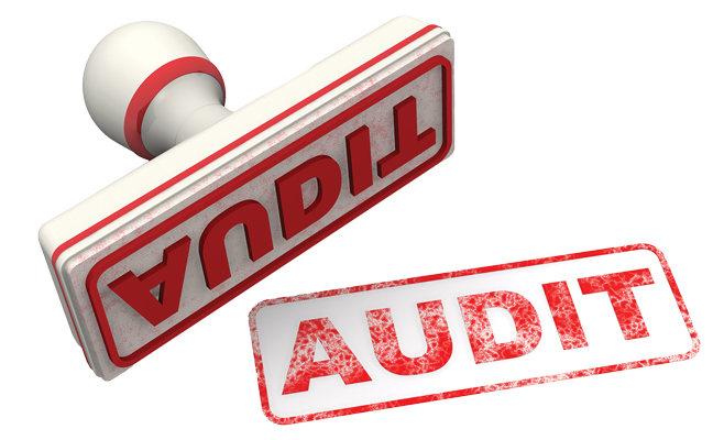 Photo: Waldemarus / iStock / Getty Images Plus / Getty Images