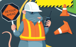 Illustration: Chris Whetzel