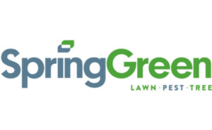 IMAGE: SPRINGGREEN