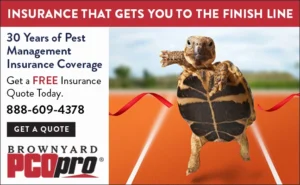 Brownyard Insurance graphic with turtle