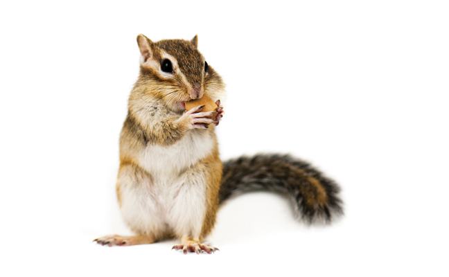 Photo: legna69 / iStock / Getty Images Plus / Getty Images