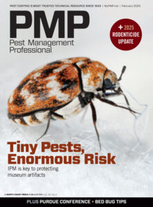 Photo: Jacqueline Nix / iStock / Getty Images Plus / Getty Images