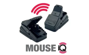 Mouse iQ graphic