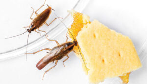 PHOTO: SMUAY / ISTOCK / GETTY IMAGES PLUS