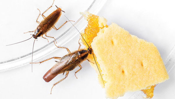 PHOTO: SMUAY / ISTOCK / GETTY IMAGES PLUS