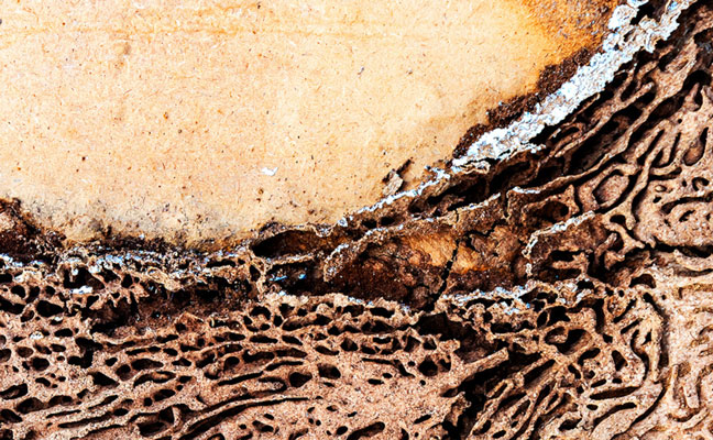 PHOTO COURTESY OF DDB CHICAGO